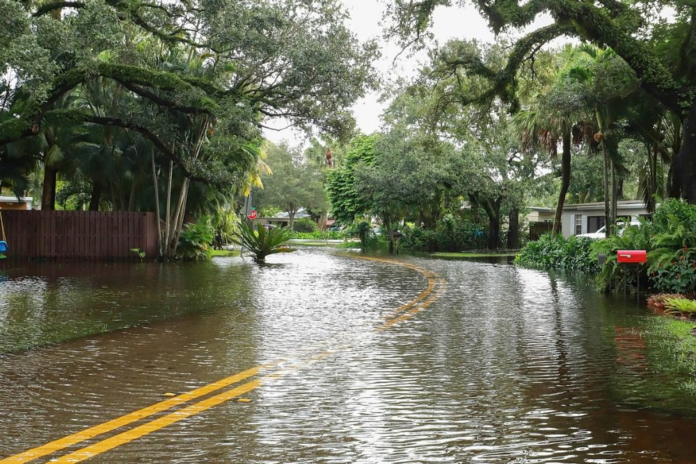 Flooded Rochester residents say they are still battling with insurers