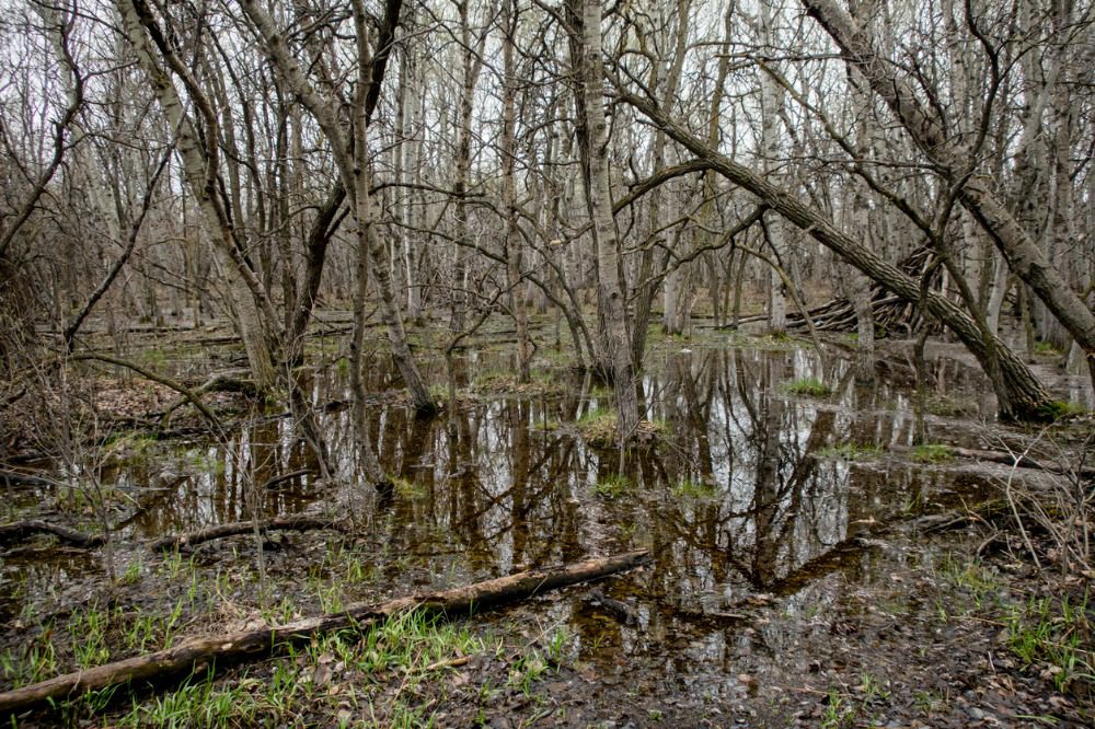 New flood maps on the table for Manitoba First Nations