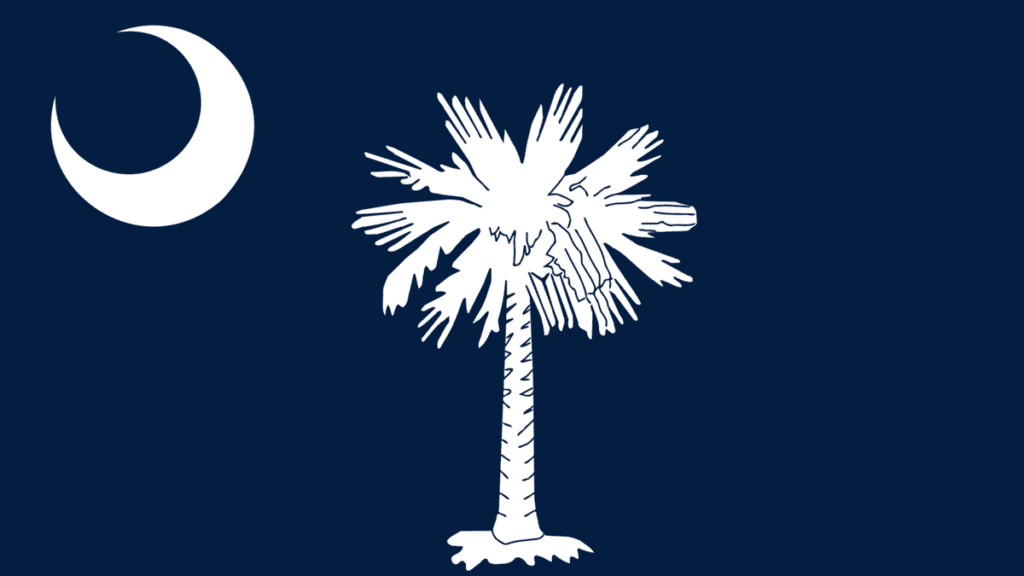 South Carolina Wants a $500 'Yankee Tax' to Register an Out-of-State Car