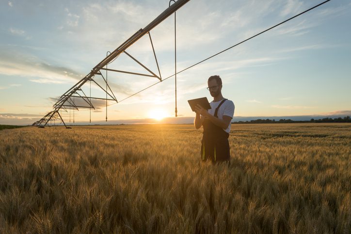 Engineering with Nature - Designing a more resilient and sustainable future