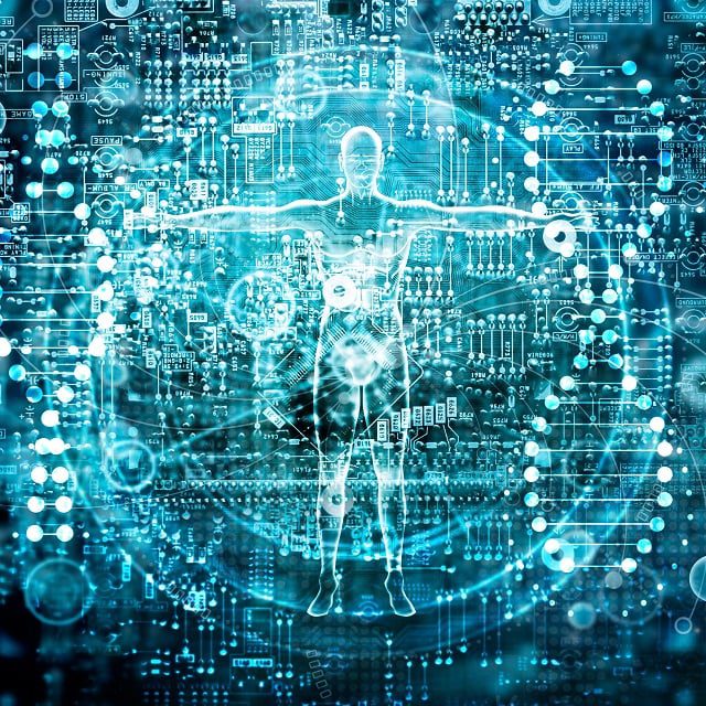 A human body in a DNA scanner