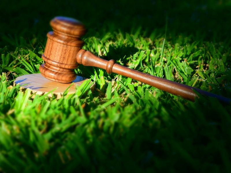 A gavel rests in a patch of grass. ESG legal action.