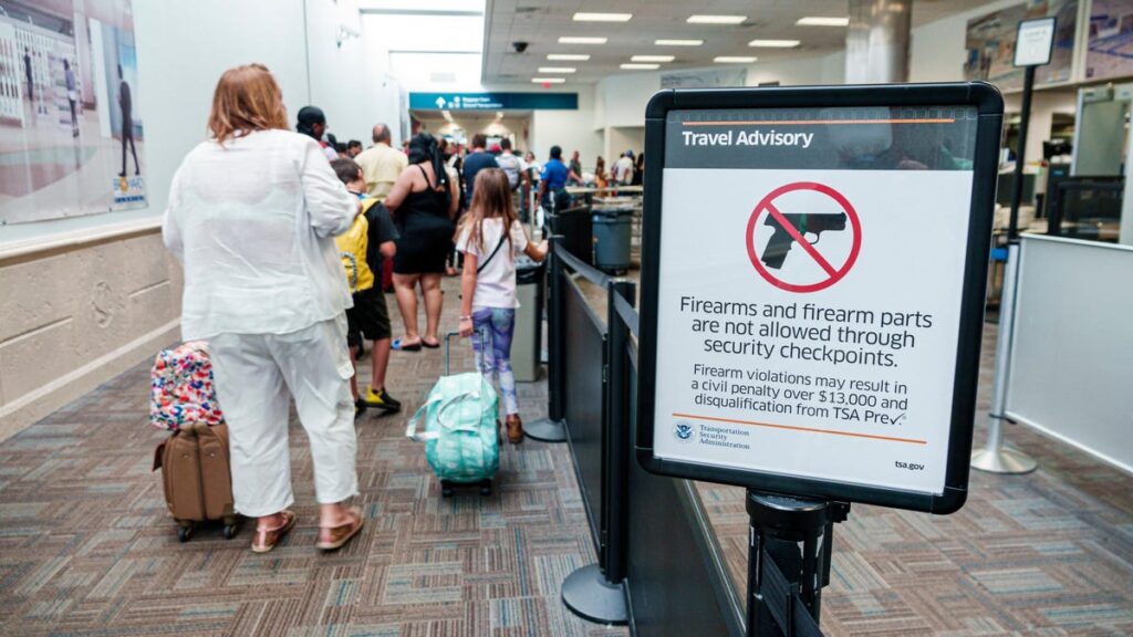 TSA Finds 5 Guns in 4 Days at Detroit Metro Airport