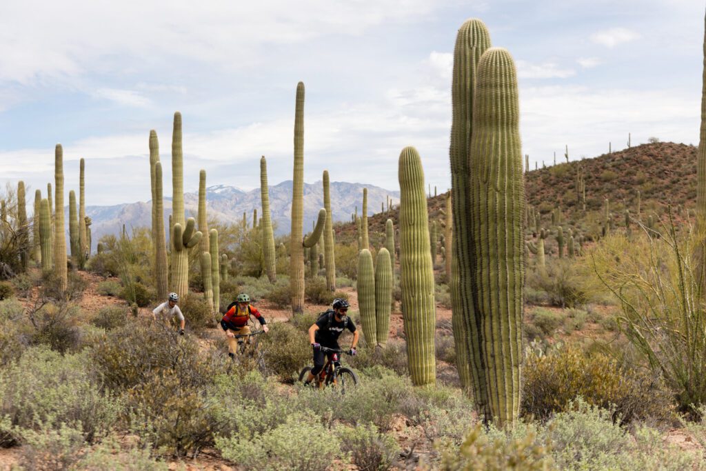 Tucsan trail tips:  Riding in Arizona