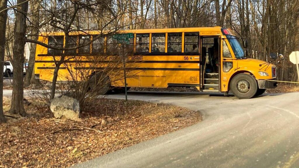 Naked Man Arrested After Leading Police on Wild Chase in Stolen School Bus