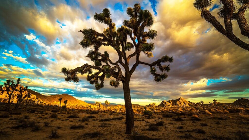 Google Maps Will Finally Be Useful in State Parks