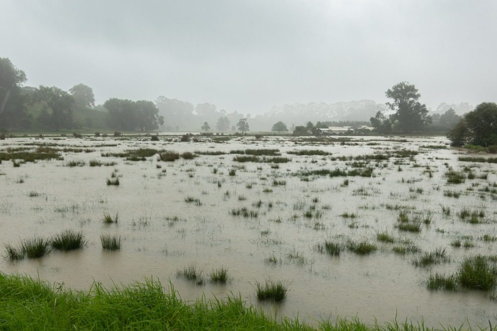 Portion of planned state housing to go up in flood-prone areas