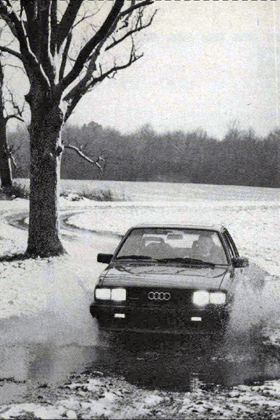 1984 audi 4000s quattro