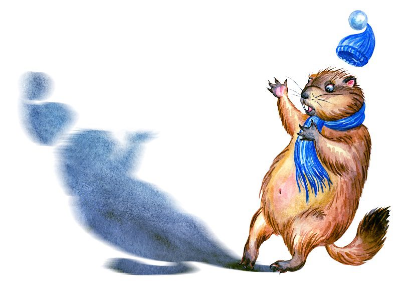 Groundhog and shadow, watercolor illustration on a white background, isolated. Postcard to the Groundhog Day.