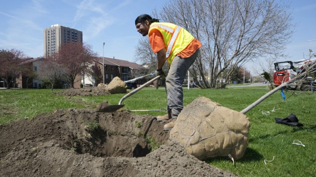 Historic investment in urban trees will offset cars and concrete across the U.S.