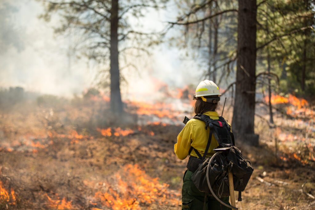 May is National Wildfire Awareness Month