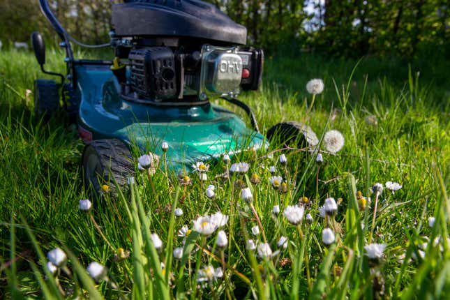 Image for article titled The Lawn Mower Wars Are Coming to America This Spring