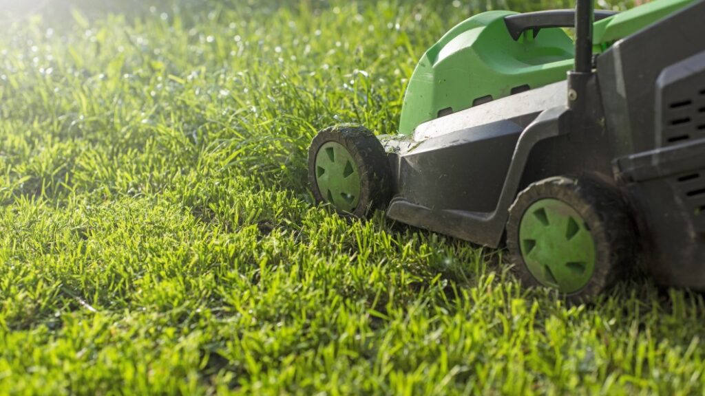 Best electric lawn mowers of 2023