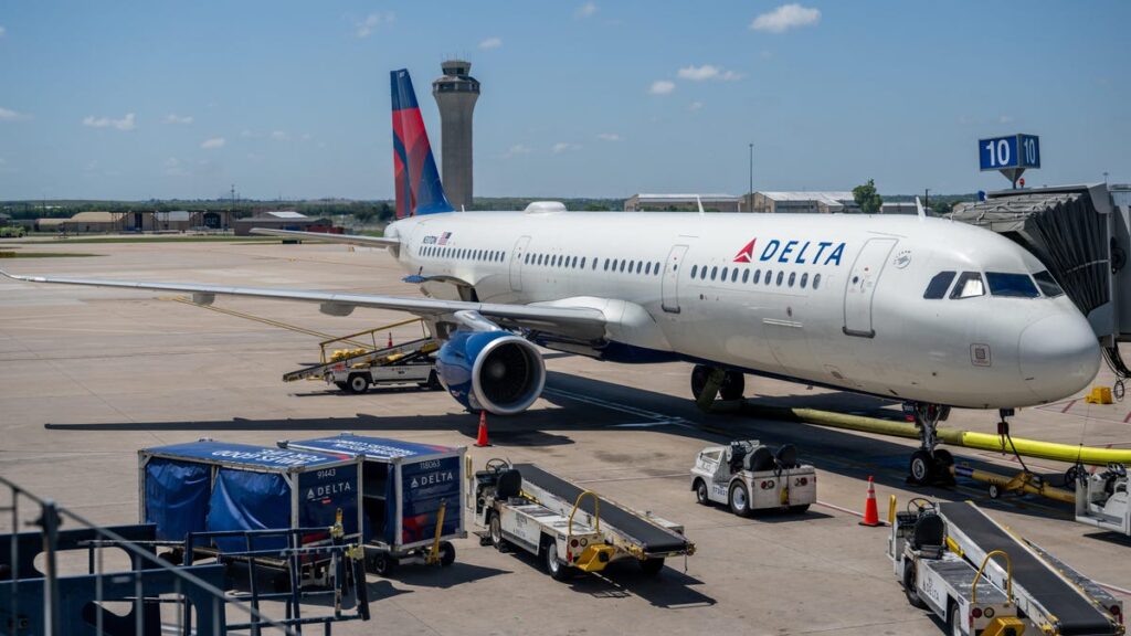 Apparently, Planes Can't Take Off if There's a Swarm of Bees on the Wing