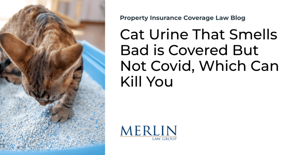 Cat Urine That Smells Bad is Covered But Not Covid, Which Can Kill You