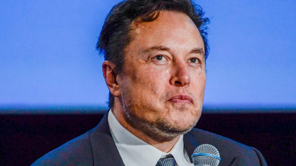 Elon Musk WSJ interview: 12 quotes about Tesla's AI ambitions, China-Taiwan, dogecoin, aliens