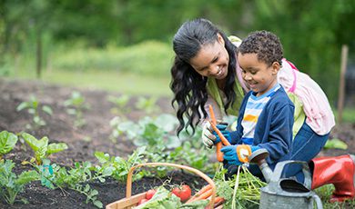 Spring gardening.