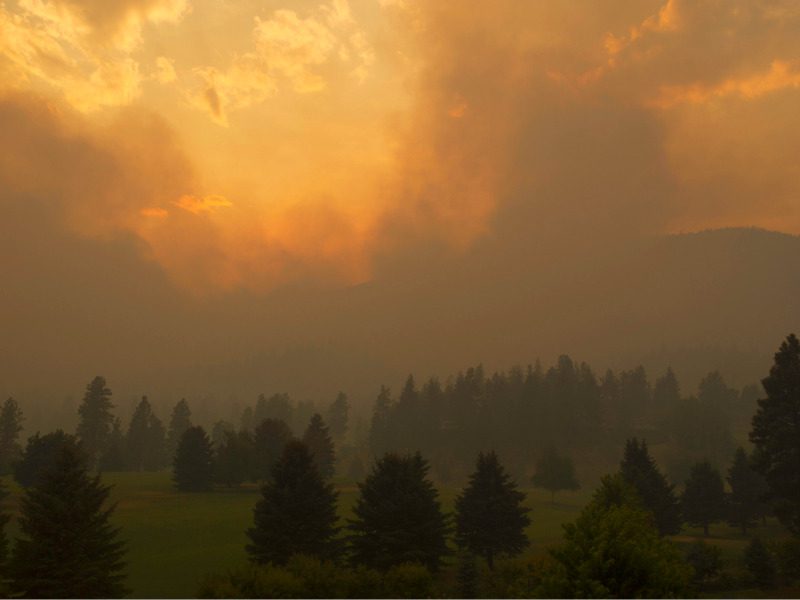 Forest fire in British Columbia