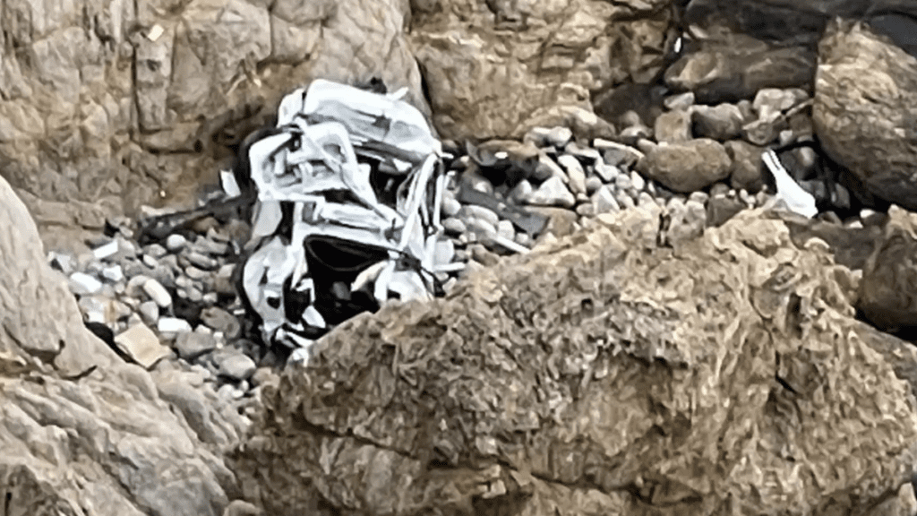 Man Allegedly Drove Family Off 330-Foot Cliff In Tesla Due To Depression