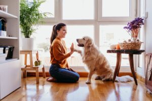 Pets in Lets: What are the Paw-sitives, and How Can Landlord Insurance Help?