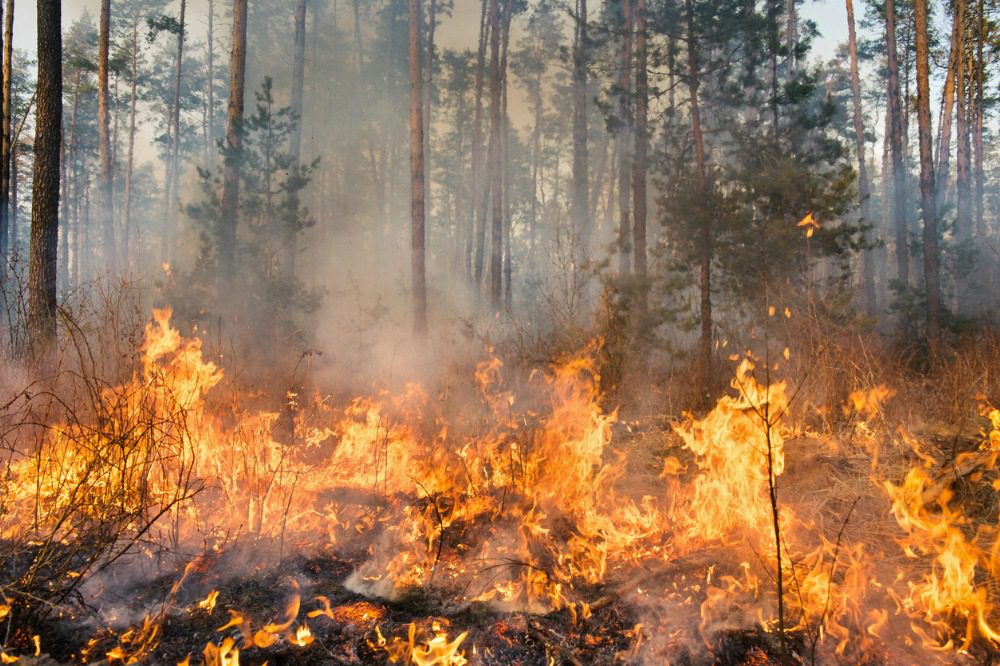 Nova Scotia pleads for federal assistance as wildfires rage on