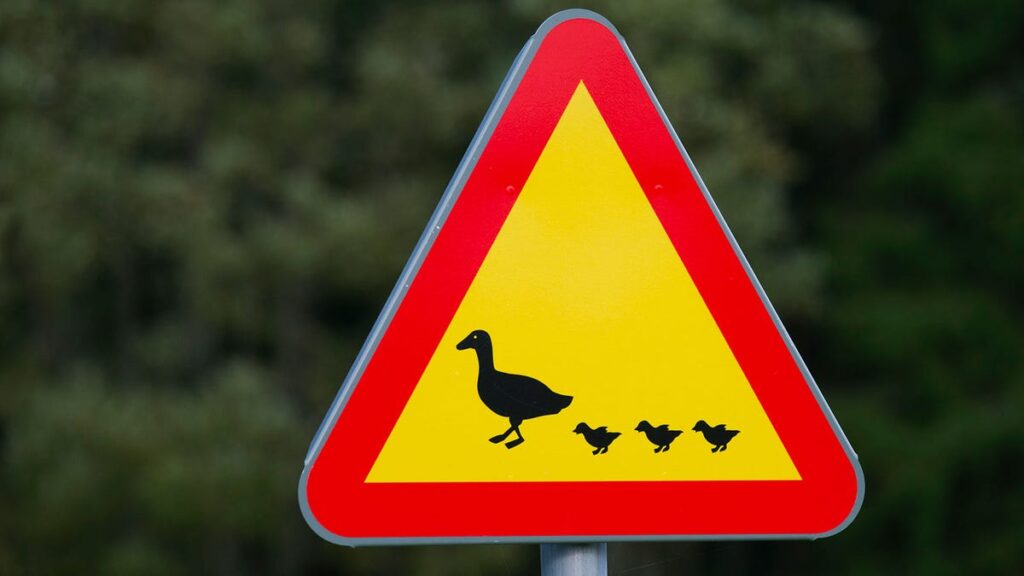 What Are The Weirdest Road Signs You’ve Come Across On Your Travels?