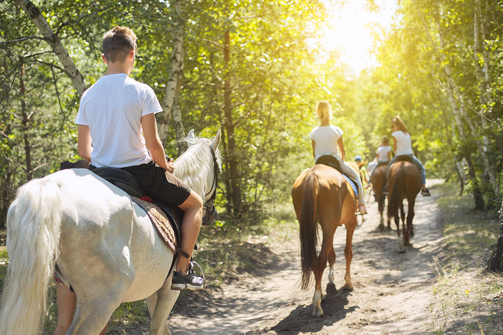 Group of people riding their horses 