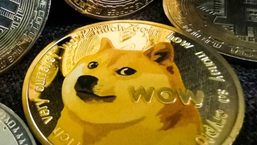 Elon Musk hit with dogecoin insider trading lawsuit