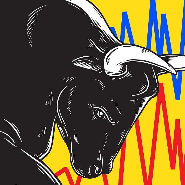 Stock market bull