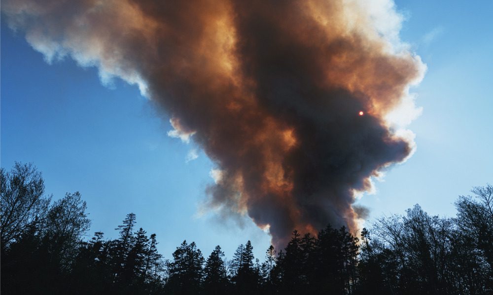 Unprecedented wildfires may drive insurance premium hikes – Desjardins CEO