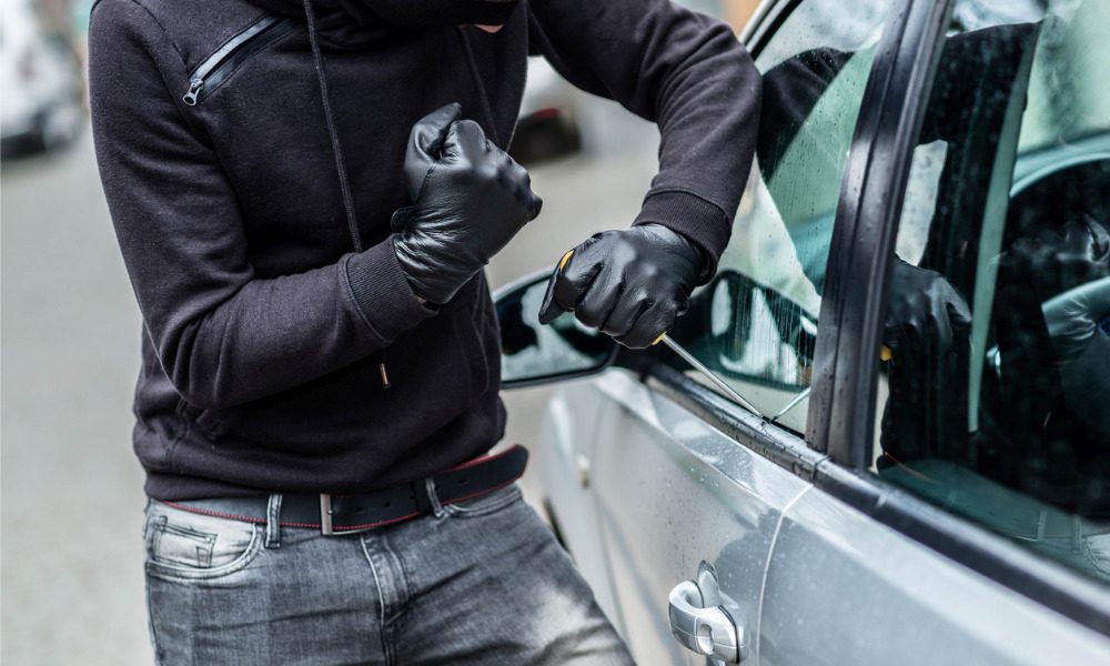 Police board calls for national collaboration to combat auto theft