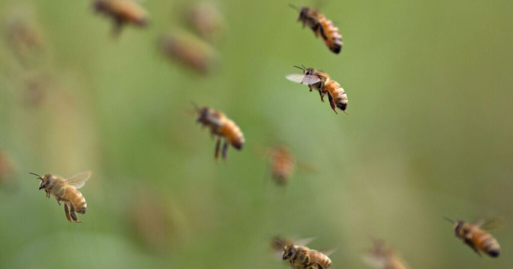 UK insurance group tells members to act on biodiversity loss