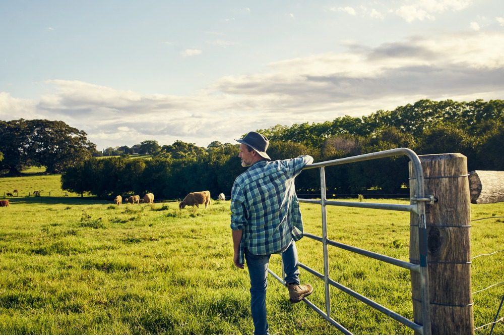 Sandbox Mutual launches new farm insurance product line