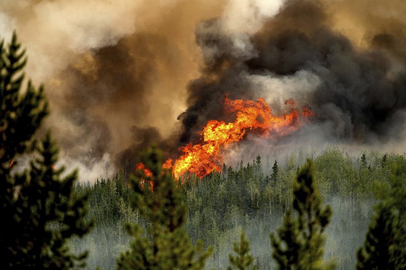 Donnie Creek wildfire in B.C.