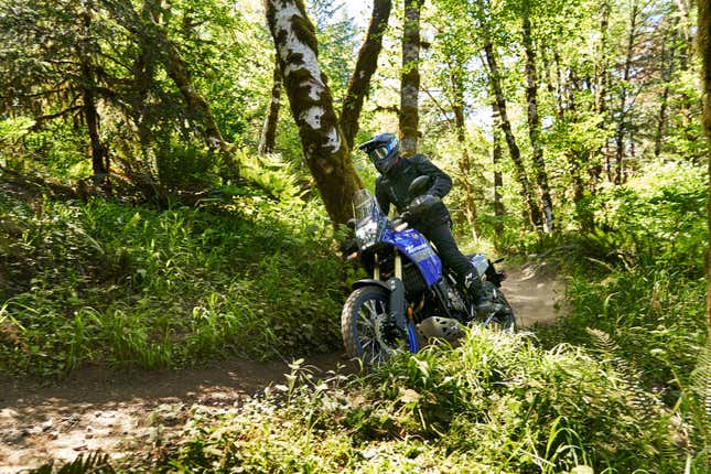 Yamaha Ténéré 700 Street Motorcycle