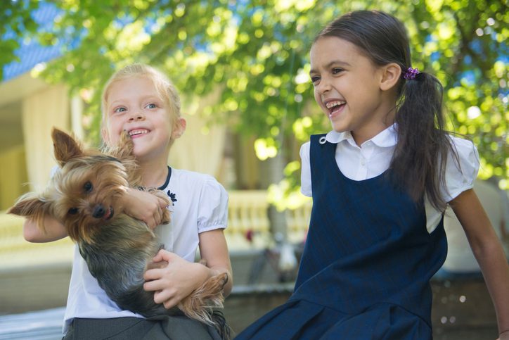 9 in 10 families say their dog can help ease children’s ‘back to school’ anxiety