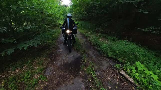 This is the environment we’re talking about — a trail that seems to have once been paved, but has been largely reclaimed by the Earth