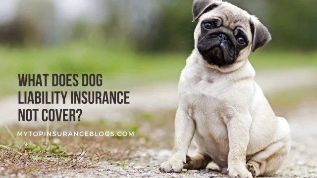 What Does Dog Liability Insurance Not Cover