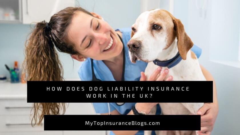 How Does Dog Liability Insurance Work in the UK?