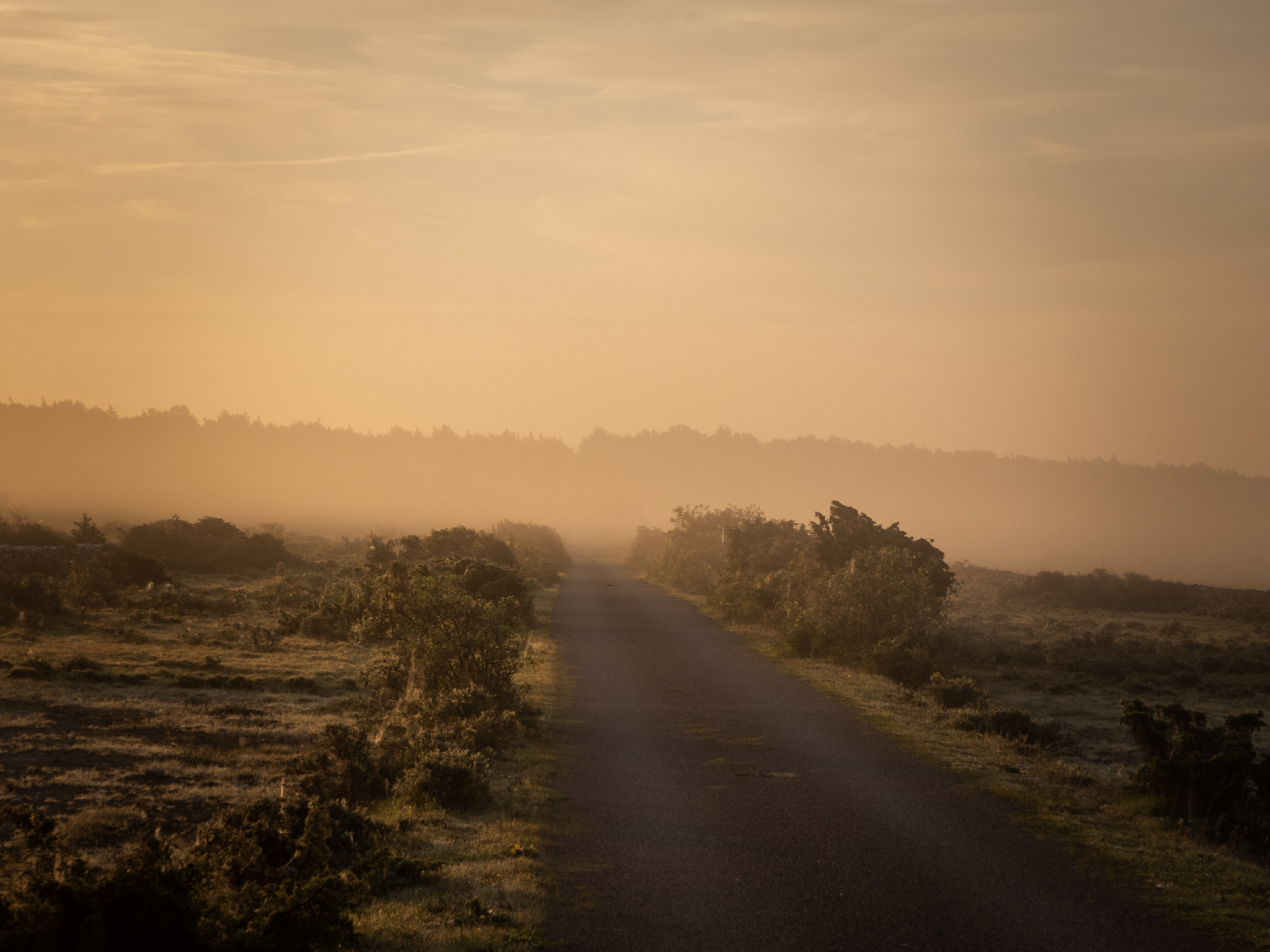 Swedish road