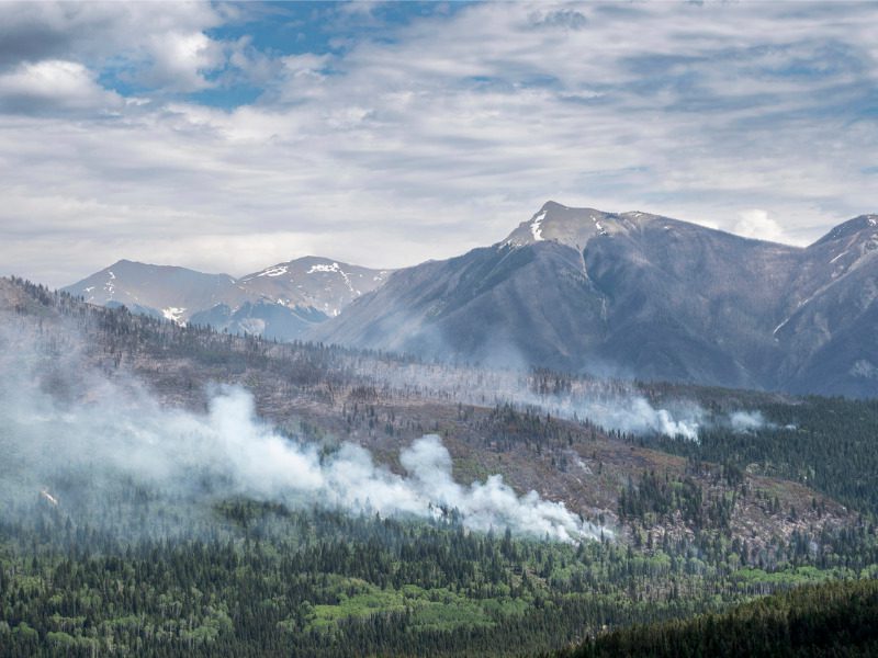 Forest fire in Kootenay, B.C.