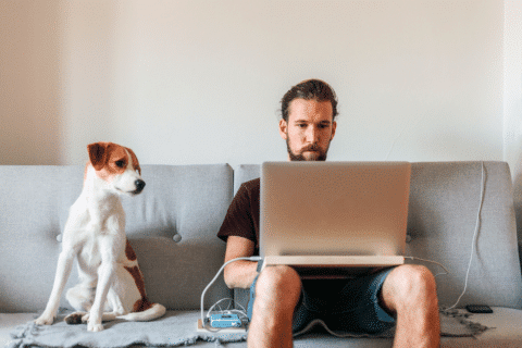 Dog and man sitting on the bed together and work on computer