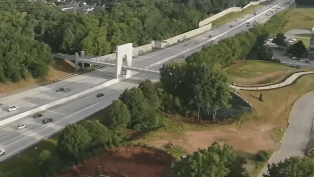 Internet Artist Labels South Carolina Bridge "Harambe Memorial"