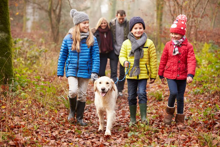 1 in 3 parents say their dog strengthens family bonds