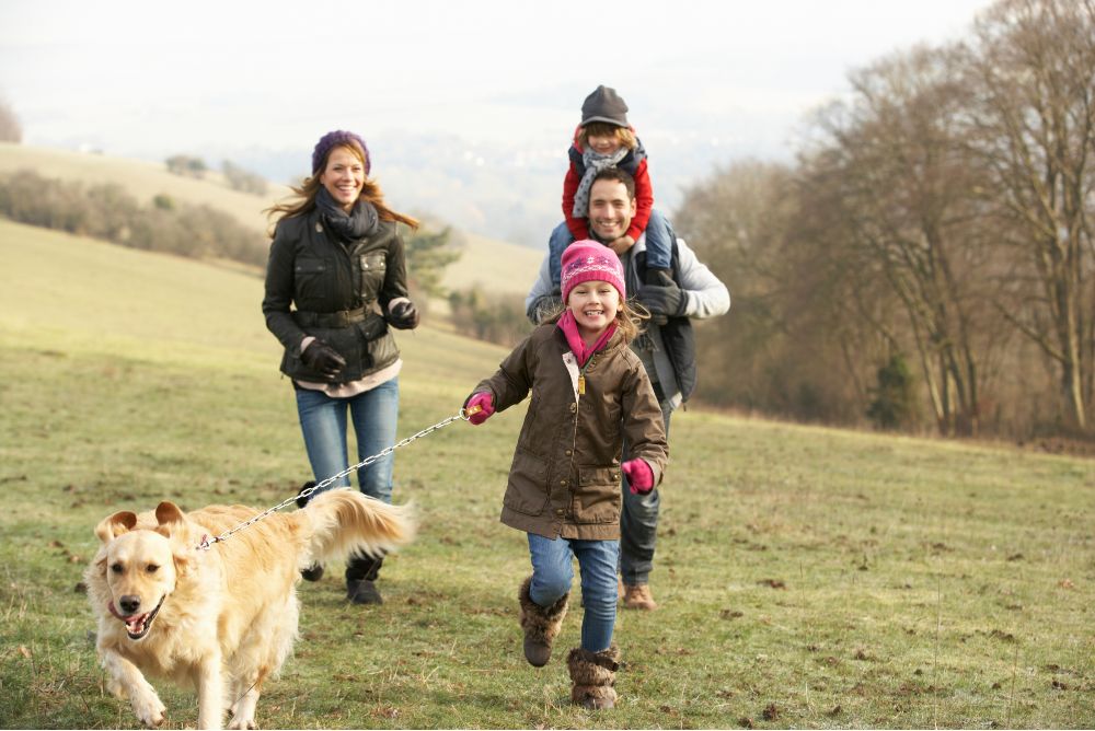 Walkies! Howden’s top 10 winter dog walks