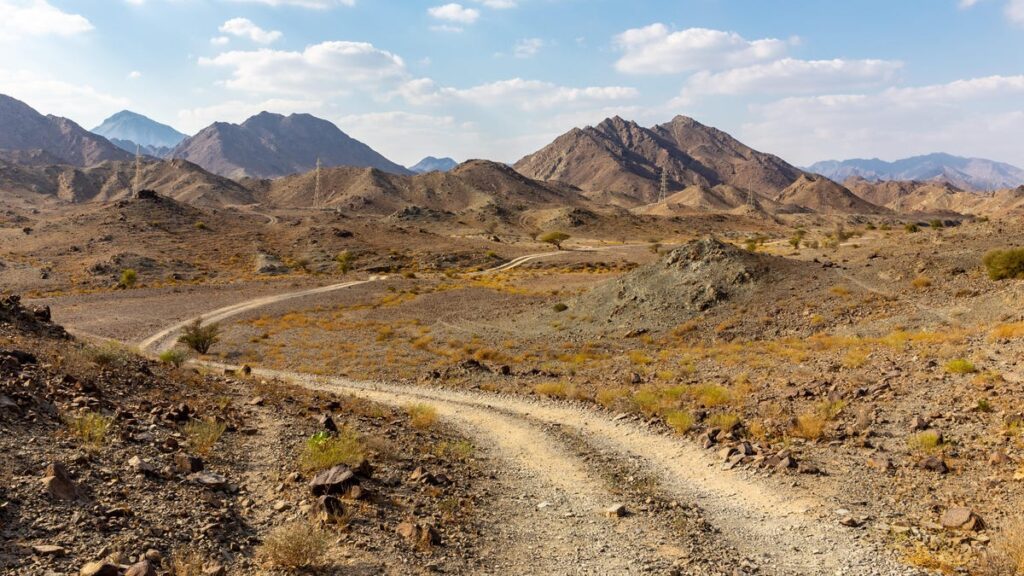 Sheeple Blindly Follow Google Maps Into Desert Road Nightmare