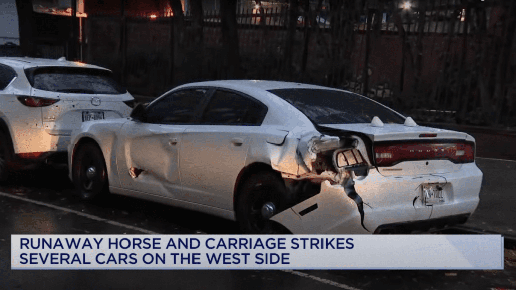 Carriage Horse Breaks Free In Manhattan And Hits Four Cars Before Being Recaptured