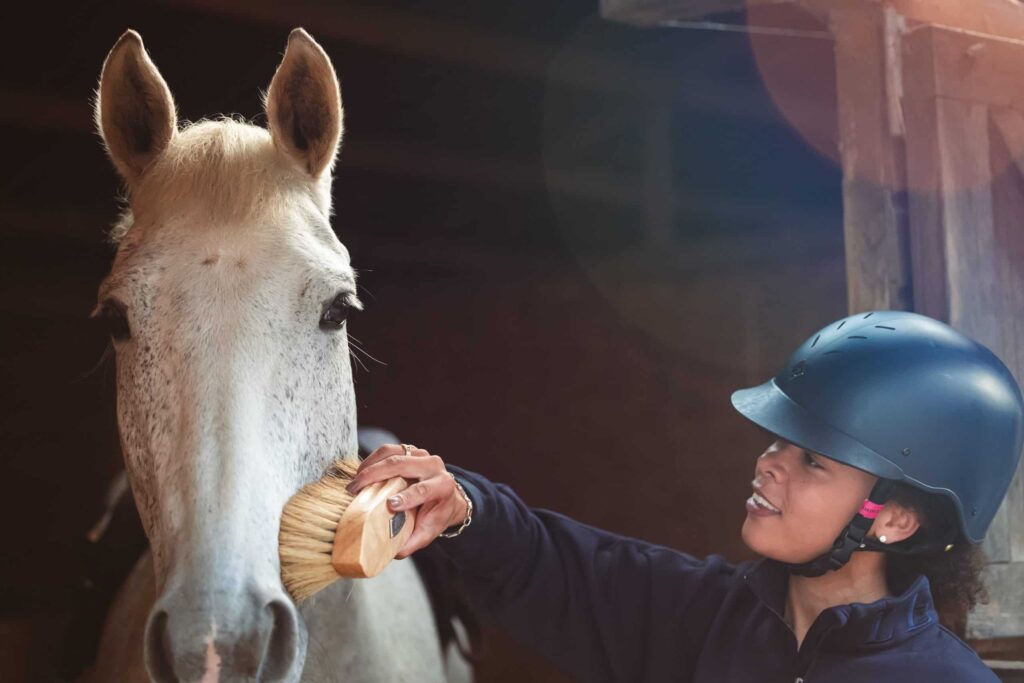 Top tips for horse riders this winter