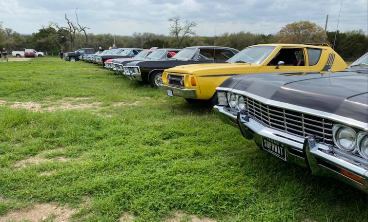 Black and yellow vintage cars lined up in a field.