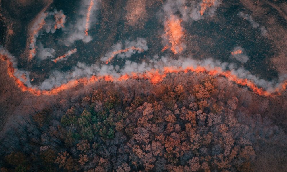 East coast buildings face significant risk of bushfire, index warns